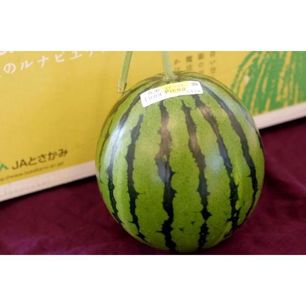 高知県産すいか大玉、即購入OK 温室スイカ ”高知県夜須町 ルナピエナ” 大玉 約3.3kg 贈答用