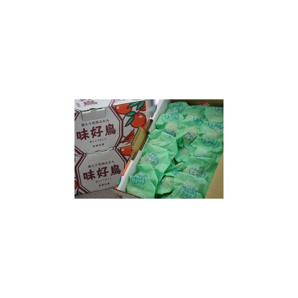 のりのり様専用2箱青秀 「味好鳥」 袋掛けみかん 大 JA
