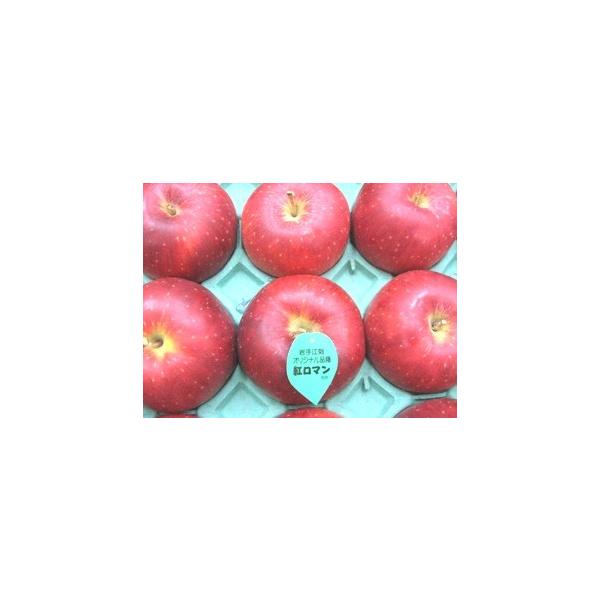 紅ロマンりんご 岩手県産の新品種 約5ｋｇ　約14玉〜約20玉