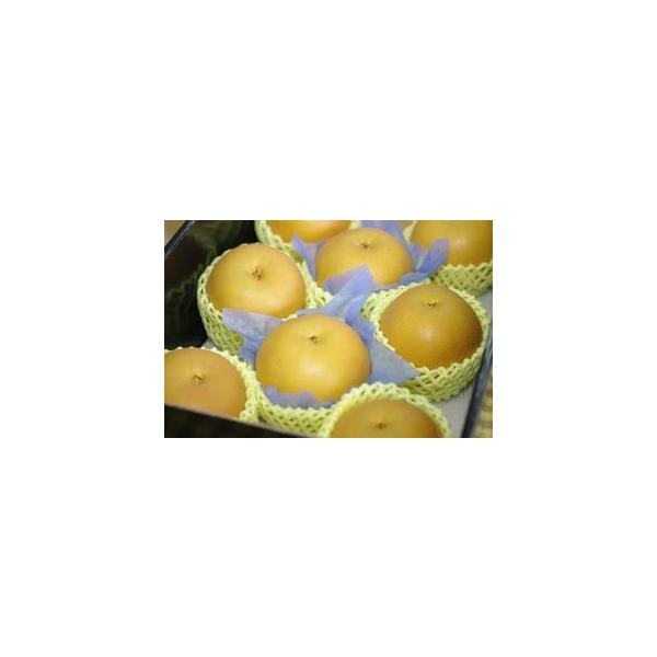 秋月梨あきづき梨糖度約13度の和梨