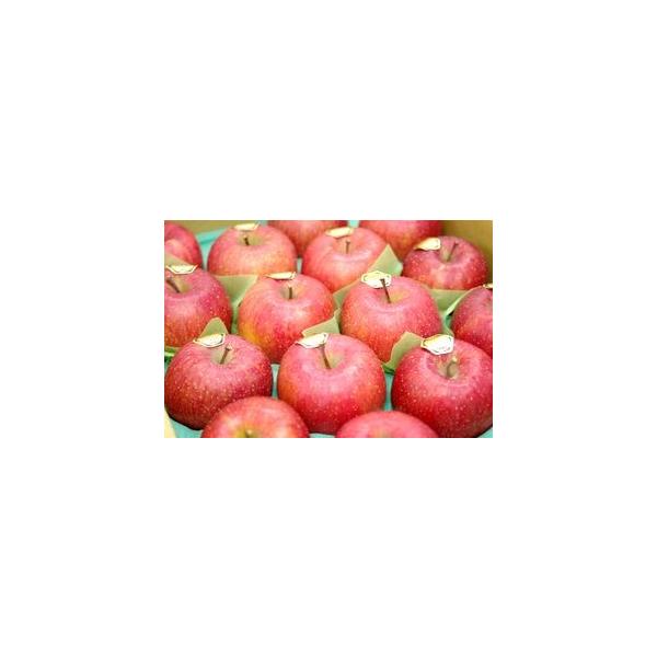 飛馬（ひうま）ふじりんご取寄販売 青森県弘前市相馬村産の糖度14度お歳暮サンふじりんごを通販で。約5ｋｇ 約14玉〜約18玉