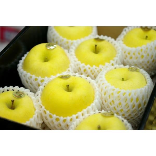 はるかりんごお歳暮通販 岩手県産 純情はるか販売 糖度14度以上 中箱 約7玉〜約9玉