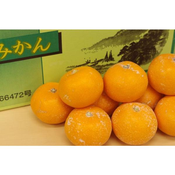 新堂みかん通販 和歌山有田 宗兵衛みかん お歳暮に。5ｋｇ 2Ｓ〜Ｌ