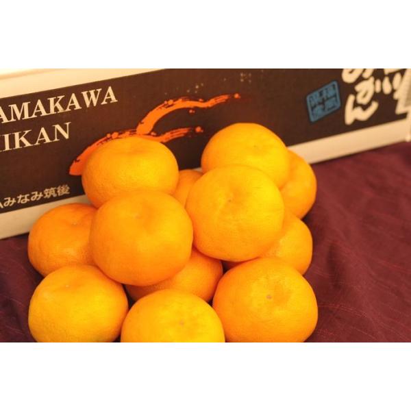 山川みかん販売 北原早生みかん通販 福岡県JAみなみ筑後のお取り寄せ 糖度12度以上 4kg Ｓ〜Ｌ