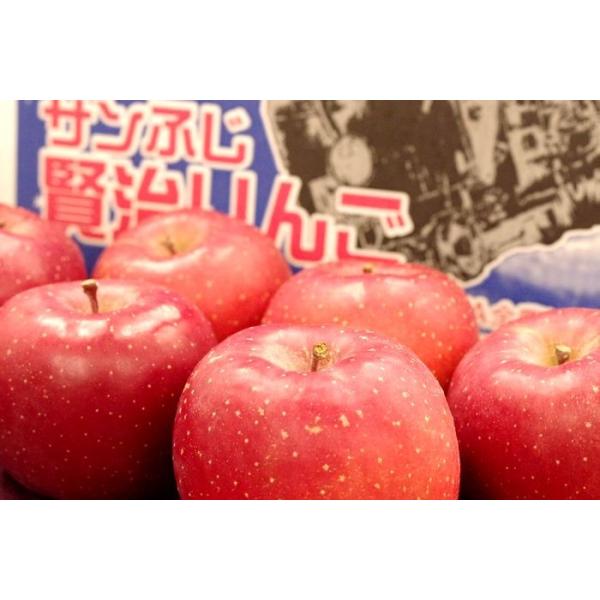 賢治りんご通販 岩手サンふじお歳暮販売 糖度14度以上 ＪＡいわて花巻 5ｋｇ 約12玉〜約18玉