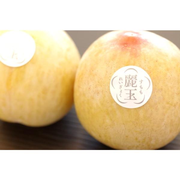 すもも小玉　10キロ 麗玉れいぎょく 長野県 すもも李 糖度18度 品種シナノパール 1玉200g