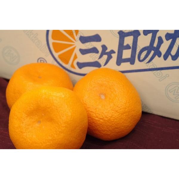三ヶ日みかん通販 お歳暮静岡県みかん販売　早生・青島 約4ｋｇ Ｓ〜2Ｌ 糖度11度以上 秀品