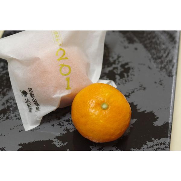 糖度15度越え！「菊みかん 木熟201 袋入 約1.2kg 12玉〜15玉  紀南みかん 和歌山県 お歳暮ギフト