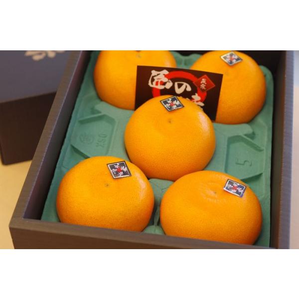 匠の味 せとか マルナン 長崎県産 約2kg 約5玉〜約8玉 : 果物百貨店