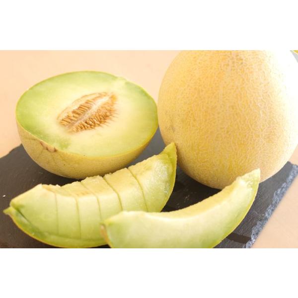ゆうかメロン 優香メロン 高糖度約16度 茨城・青森・他産地 約5ｋｇ　3玉〜6玉