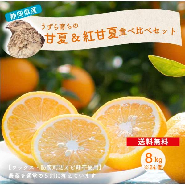 送料無料 甘夏・紅甘夏食べ比べセット8キロ 約24個 国産 静岡県産 ワックス防腐剤防カビ剤不使用 ノーワックス