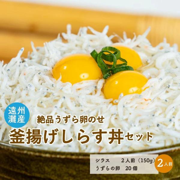 釜揚げしらす丼セット2人前 しらす150g＋うずら生卵20個 クール便 遠州灘産 漁港で釜茹で 濃厚なうずら卵 産地直送 浜名湖ご当地グルメ