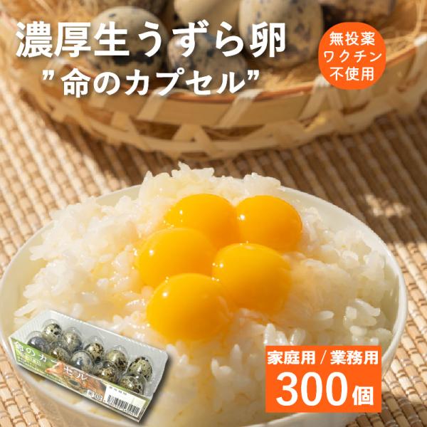 商品説明名称 うずら卵内容量 300個産地 国産（静岡県産）生産者 有限会社浜名湖ファーム静岡県湖西市白須賀5991賞味期限　発送日より2週間保存方法　冷蔵保存使用方法　生食の場合は賞味期限内に使用し、賞味期限経過後は十分に加熱調理してください。
