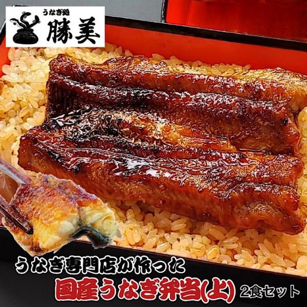 うなぎ 国産 蒲焼き弁当 2食ギフトセット【上】 (タレ山椒付) 大盛 送料無料 駅弁 冷凍弁当 うなぎ蒲焼き 鰻蒲焼 うなぎ蒲焼 浜名湖 浜松 鰻 ウナギ 冷凍食品