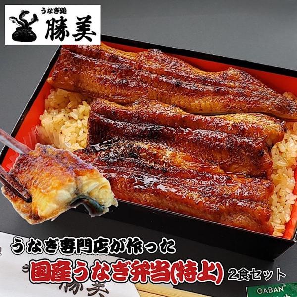 うなぎ 国産 蒲焼き弁当 2食セット【特上】 (タレ山椒付) 大盛 送料無料 駅弁 冷凍弁当 うなぎ蒲焼き 鰻蒲焼 うなぎ蒲焼 浜名湖 浜松 鰻 ウナギ 個包装 冷凍食品