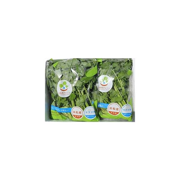 満天青空レストランや各社新聞・メディアに取り上げられた【浜名湖クレソン】浜名湖クレソンには３つのこだわり！(1)栽培へのこだわり　クレソンの辛味・しゃきっとした味わいは土づくりから！浜名湖産牡蠣殻や浜松の畜産農家から購入した堆肥を使用！　無...