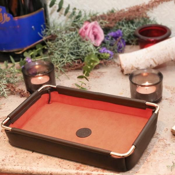 yB_zz fB[X X̐Ƀb`vX_Ƃ̃U[g[@Tetraiegj _  fn}m denhamano