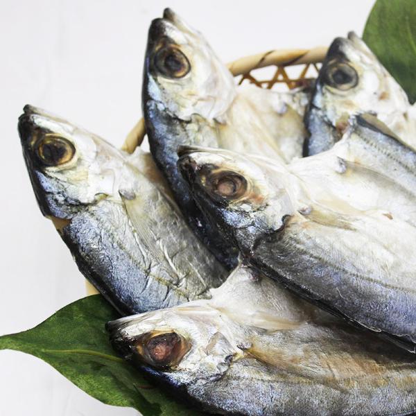 九鬼港で水揚げされた新鮮なメアジを、食塩、昆布だし、みりん、料理酒で味付けをして、丹精込めて天日で干しあげました。◆メアジどんぱく、どんあじとも呼ばれるアジ科メアジ属の魚です。マアジに比べ大きい目が特徴のメアジ。ゼイゴが柔らかくトゲトゲして...