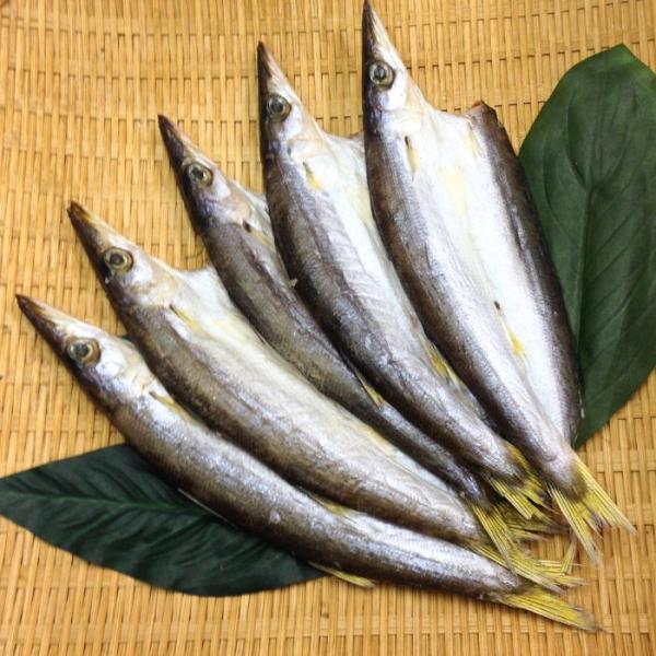カマスひらき 干物 塩干し 中2枚 産地直送  尾鷲市 九鬼町 紀州  国産 無添加 ひもの  魚介 かます