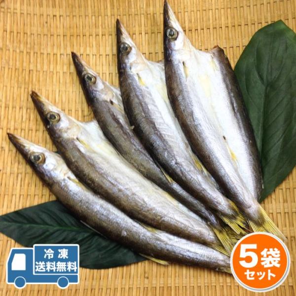 カマスひらき 干物 塩干し 2枚 5袋入 産地直送  尾鷲市 九鬼町 紀州  国産 無添加 ひもの  魚介 かます