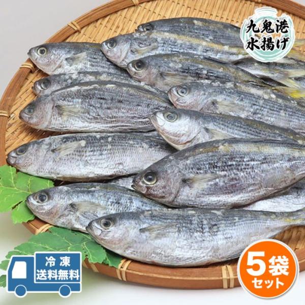 加工場から徒歩5分の漁港で水揚げされました。小さめのたかべです。■内容：8〜10本 5袋■産地：三重県尾鷲市九鬼町■配送：クール便■賞味期限　冷蔵：１週間　冷凍：１ヶ月※クール便での発送となります。※北海道500円・沖縄1200円追加になります。