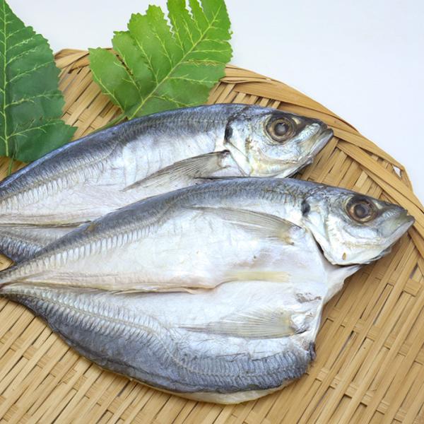 アジ干物 あじひらき大2枚 産地直送  尾鷲市 九鬼町 紀州 アジ 国産 無添加 ひもの 塩干し 魚介 アジ
