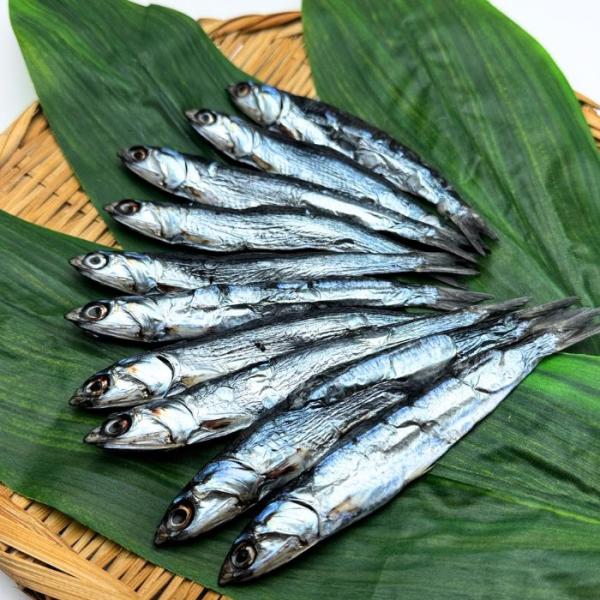 カタクチイワシ 干物 丸干 片口いわし丸干し 100ｇ  産地直送  尾鷲市 九鬼町 紀州  国産 無添加 ひもの 魚介 新鮮 尾鷲産