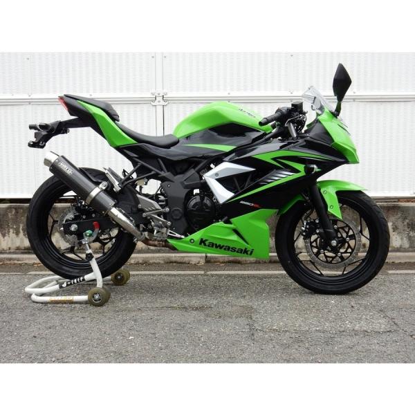 WR'S カーボンマフラー ninja 250 EX250 Ninja250SL（ニンジャ） リアエキゾーストマフラー ラウンド カーボン