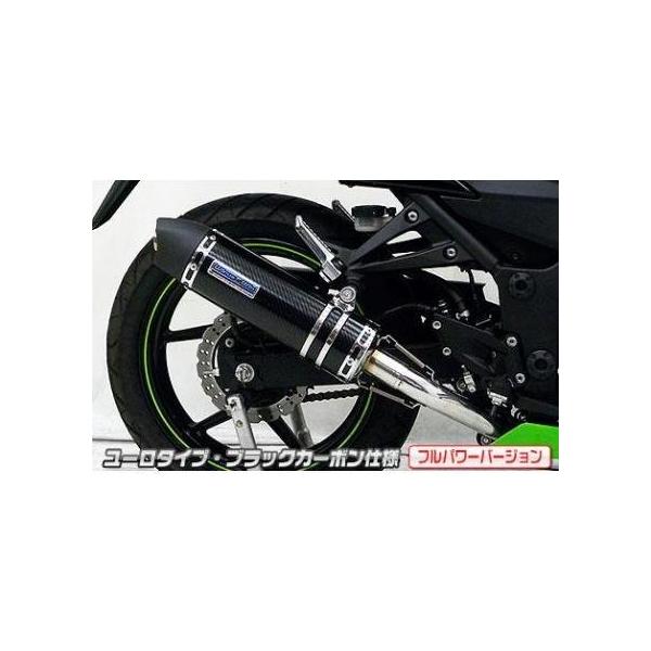 熱販売即出荷 Ninja250r ニンジャ Jbk Ex250k ダイナミックマフラー ユーロタイプ フルエキ ブラックカーボン フルパワーバージョン ウイルズウィン Wiruswin 短納期