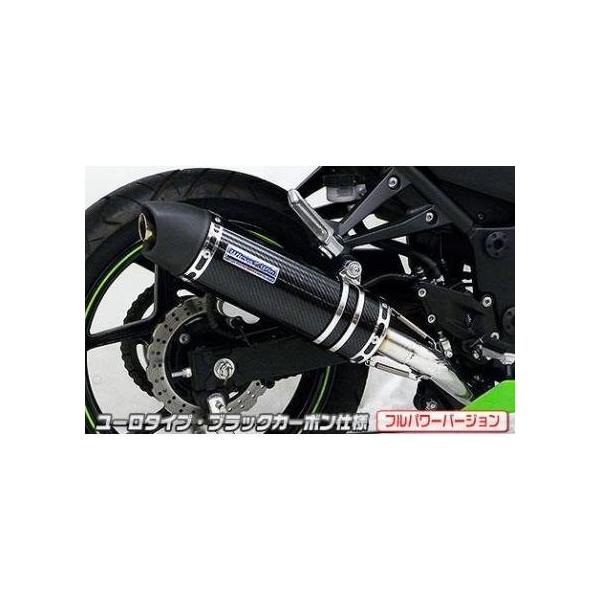 熱販売即出荷 Ninja250r ニンジャ Jbk Ex250k ダイナミックマフラー ユーロタイプ フルエキ ブラックカーボン フルパワーバージョン ウイルズウィン Wiruswin 短納期