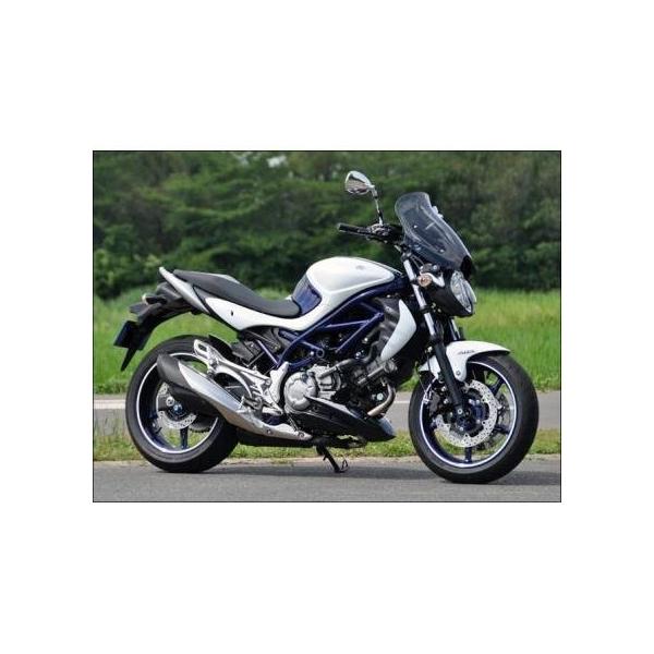 グラディウス400 ABS（GLADIUS）10年〜 ガイラシールド スモーク CHIC