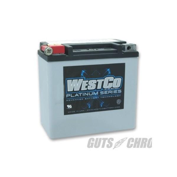 WCP14 PLATINUM�V���[�Y�iAGM�o�b�e���[�j����65948-00�݊� WESTCO�i�E�G�X�g�R�j