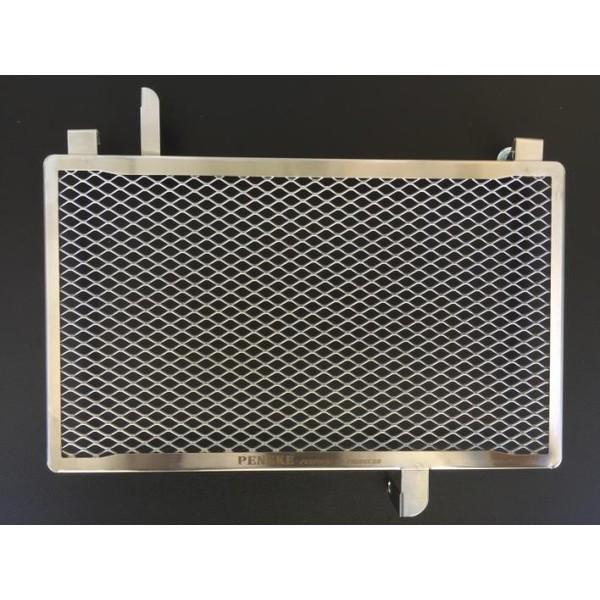 Ninja250SLijWjJBK-BX250A WG^[RAveN^[ PENSKEiyXPj