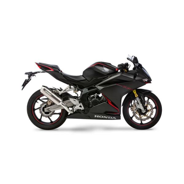 XeXXbvI}t[ MX WT ԌΉ/{F MORIWAKIiLj CBR250RRi17Nj