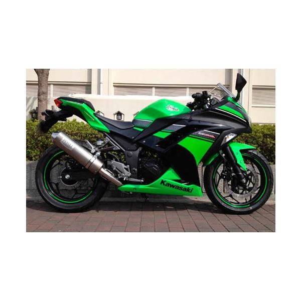 G{[VtGL][Xg }t[ PENSKEiyXPj Ninja250ijWj13`17N