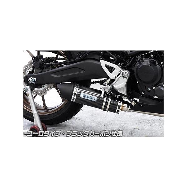 ダイナミックマフラー ユーロタイプ ブラックカーボン フル