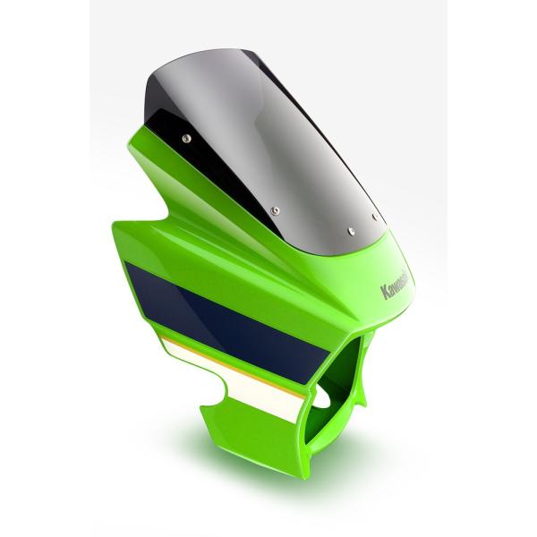 ZRX1200 DAEGi_GOj Xg[gXN[ X[N^Cv AN|CgiACRY-Pointj