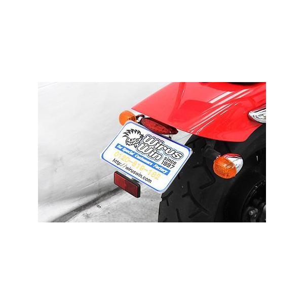 tF_[XLbg ECYEBiWirusWinj G~l[^[250ViBA-VN250Aj