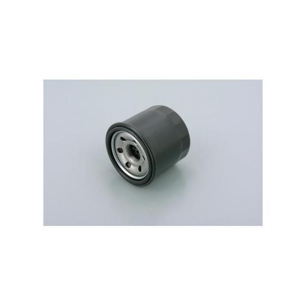 ICtB^[ DAYTONAifCgij VXg[250iV-Strom250j