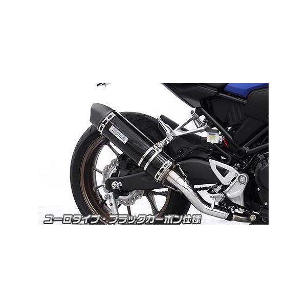 CB250R（8BK-MC52） スリップオンマフラー ユーロタイプ ブラック