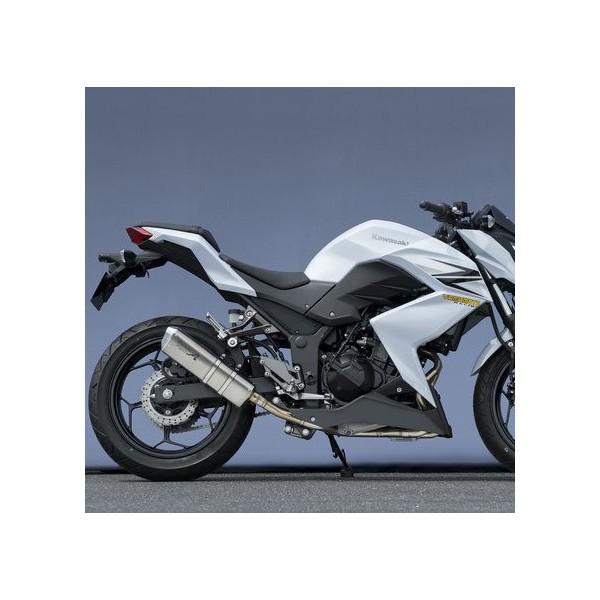 Z250iJBK-ER250Cj SUSXbvI`^}t[TYPE-S JMCAF YAMAMOTOi}g[VOj