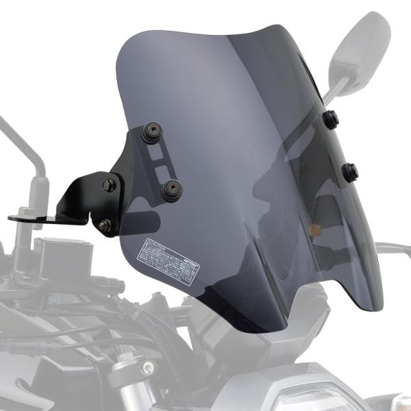 GIXXERiWNT[j EChV[h SS X[N DAYTONAifCgij