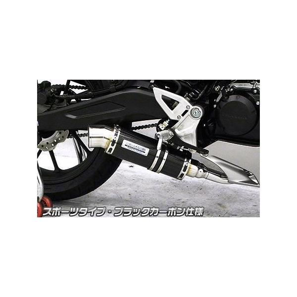 _Ci~bN}t[ tGL][Xg X|[c^Cv ubNJ[{dl ECYEBiWirusWinj CB125Ri2BJ-JC79j