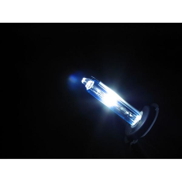 HID ���y�A�o���u ���[�^�C�v�iH11/6500K�j  Absolute�i�A�u�\�����[�g�j