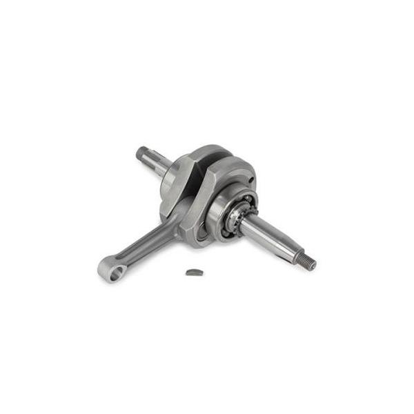 50mmXg[NAbvNNVtg(R^Cv) SPiTAKEGAWAj L[iMONKEYj