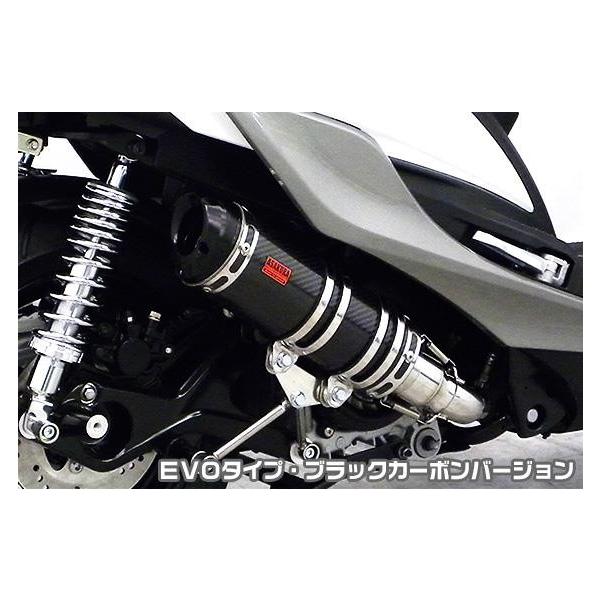 DDR^Cv}t[ EVO^Cv ubNJ[{o[W ASAKURAiqj VOiXXiCYGNUS-Xj5^