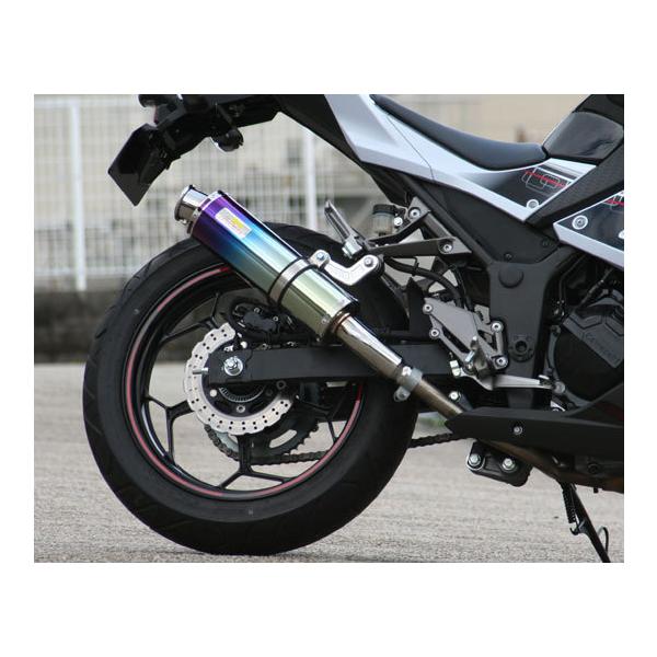 Realize カワサキ ニンジャ EX250L Aria チタンTypeC REALIZE Aria アリア チタン カールタイプ （TypeC） マフラー