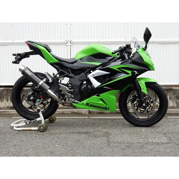 Ninja250SLijWj AGL][Xg}t[ Eh J[{ WR'Si_uA[Yj