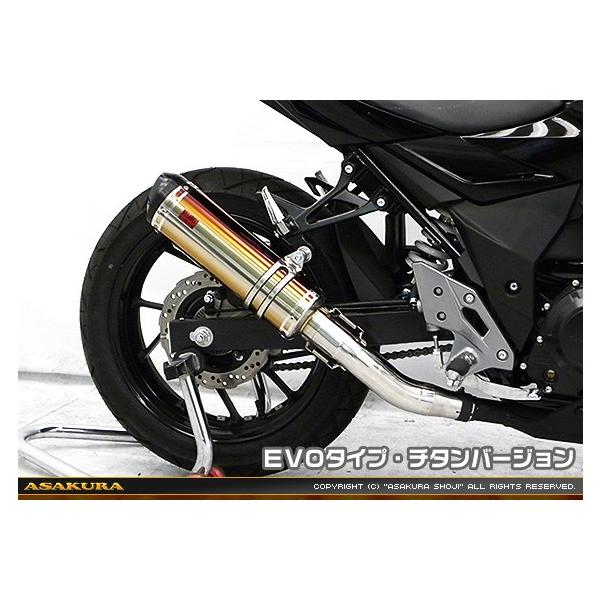 TTR^Cv}t[ EVO^Cv `^o[W ASAKURAiqj GSX250Ri2BK-DN11Aj