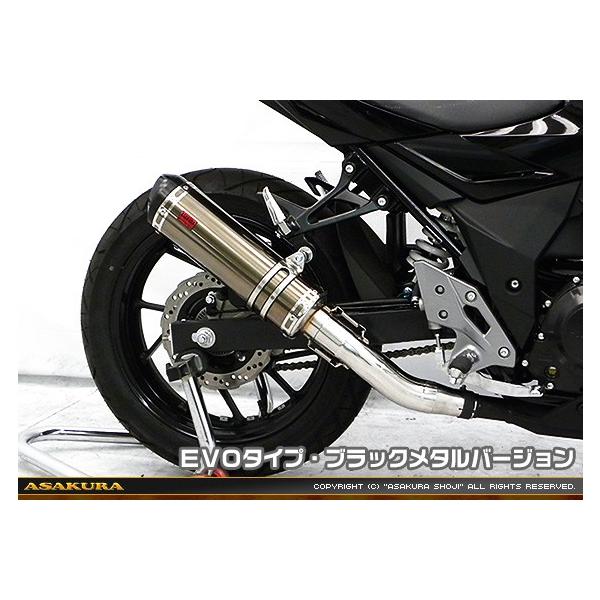 TTR^Cv}t[ EVO^Cv ubN^o[W ASAKURAiqj GSX250Ri2BK-DN11Aj